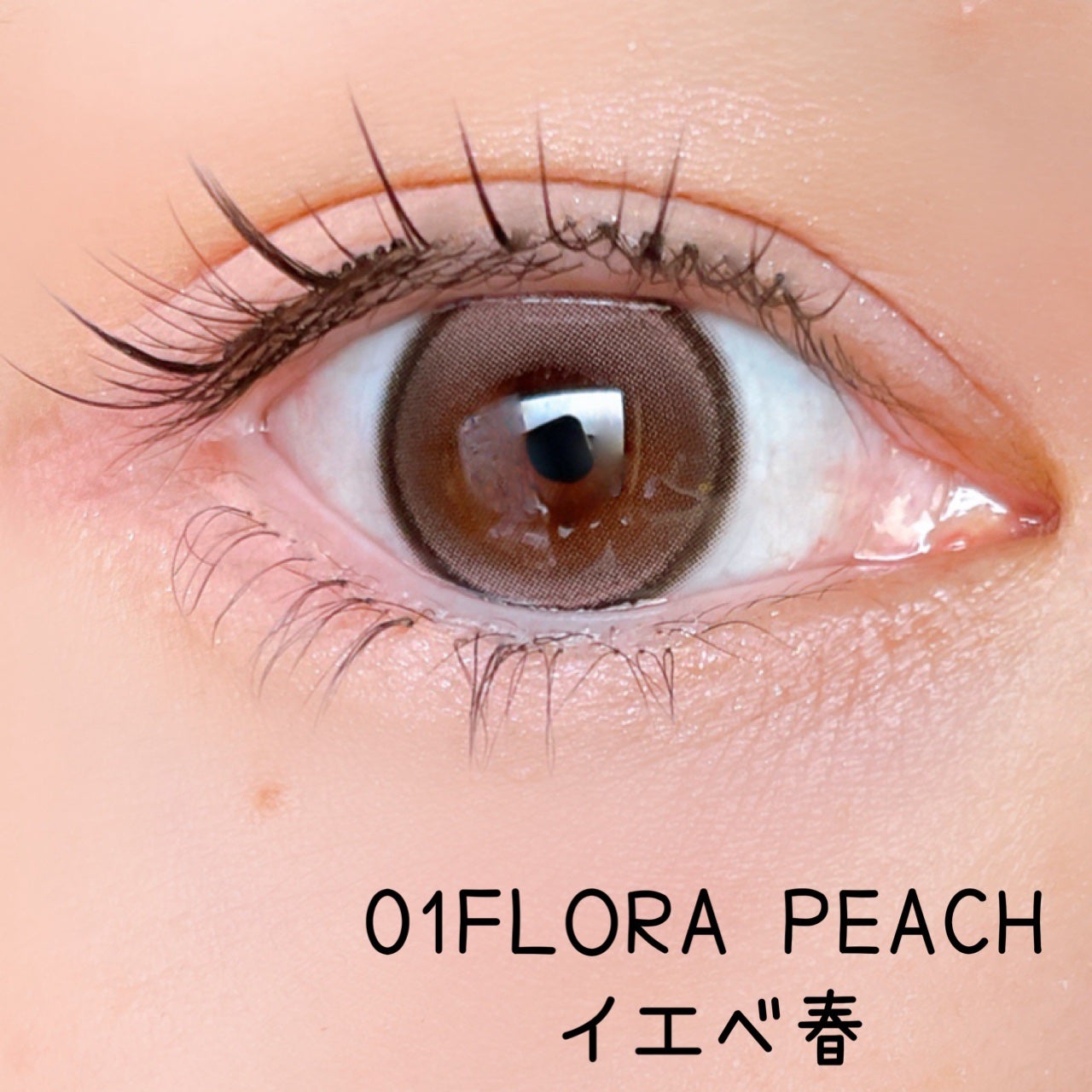 フローラアイパレット/AMUSE/アイシャドウを使ったクチコミ(7枚目)