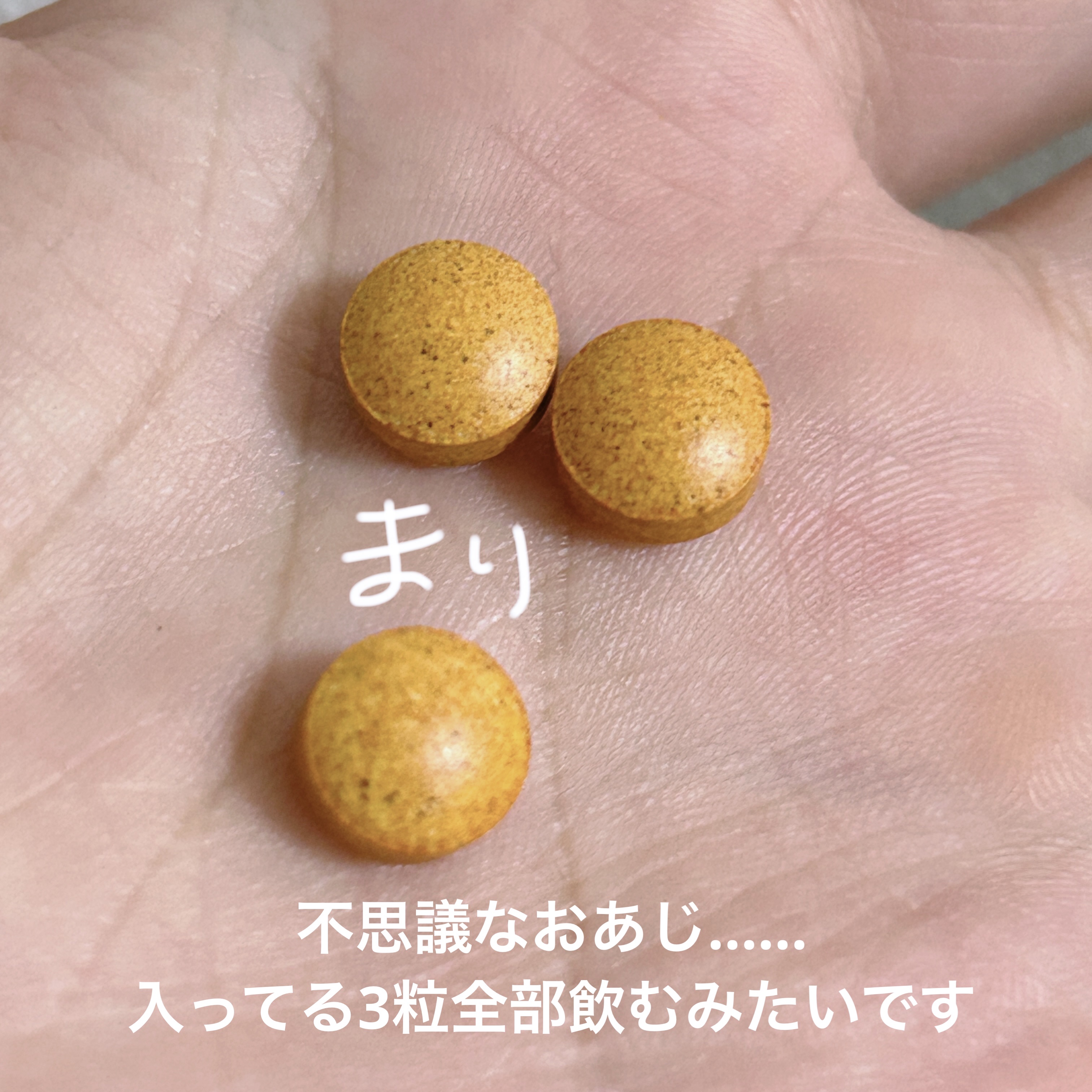 ネルノダ　粒タイプ/ハウスウェルネスフーズ/健康サプリメントを使ったクチコミ（2枚目）