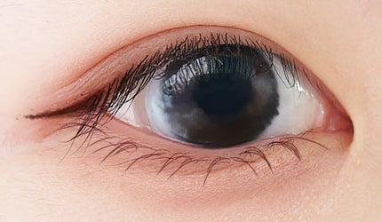 プティパレットアイズ/キャンメイク/パウダーアイシャドウを使ったクチコミ(2枚目)