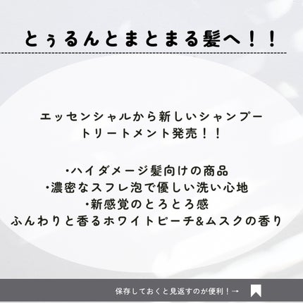 ãšãã»ã³ã·ã£ã«ãã¬ãã¢ã  ããªã¢ã·ã£ã³ããŒã»ã³ã³ãã£ã·ã§ã㌠ã¹ããŒã¯ã«ã¢ã€ã¹ã/ãšãã»ã³ã·ã£ã«/åžè²©ã·ã£ã³ããŒã䜿ã£ãã¯ãã³ãïŒ2æç®ïŒ