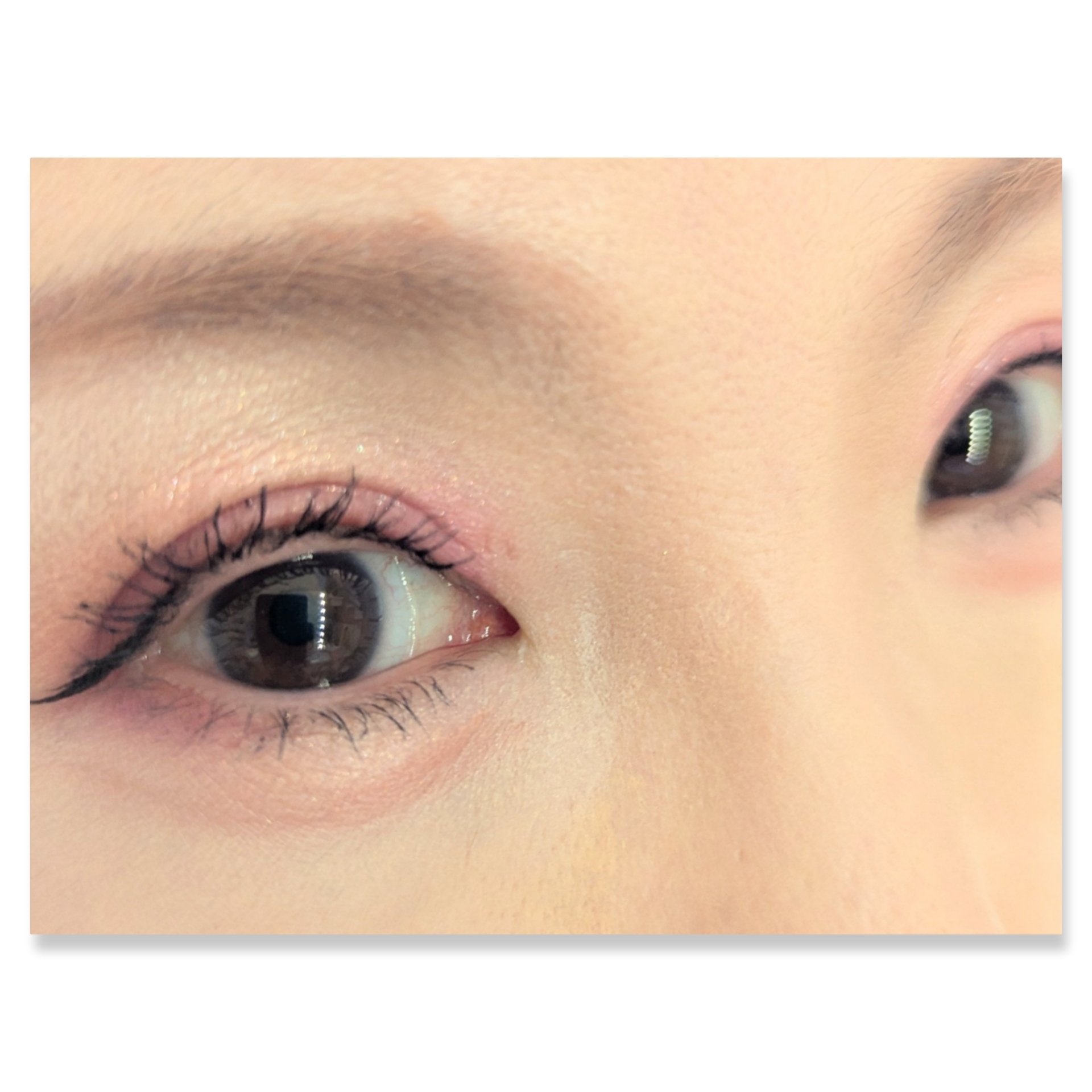 プレイカラーアイズミニ　ローズボム/ETUDE/アイシャドウパレットを使ったクチコミ（2枚目）