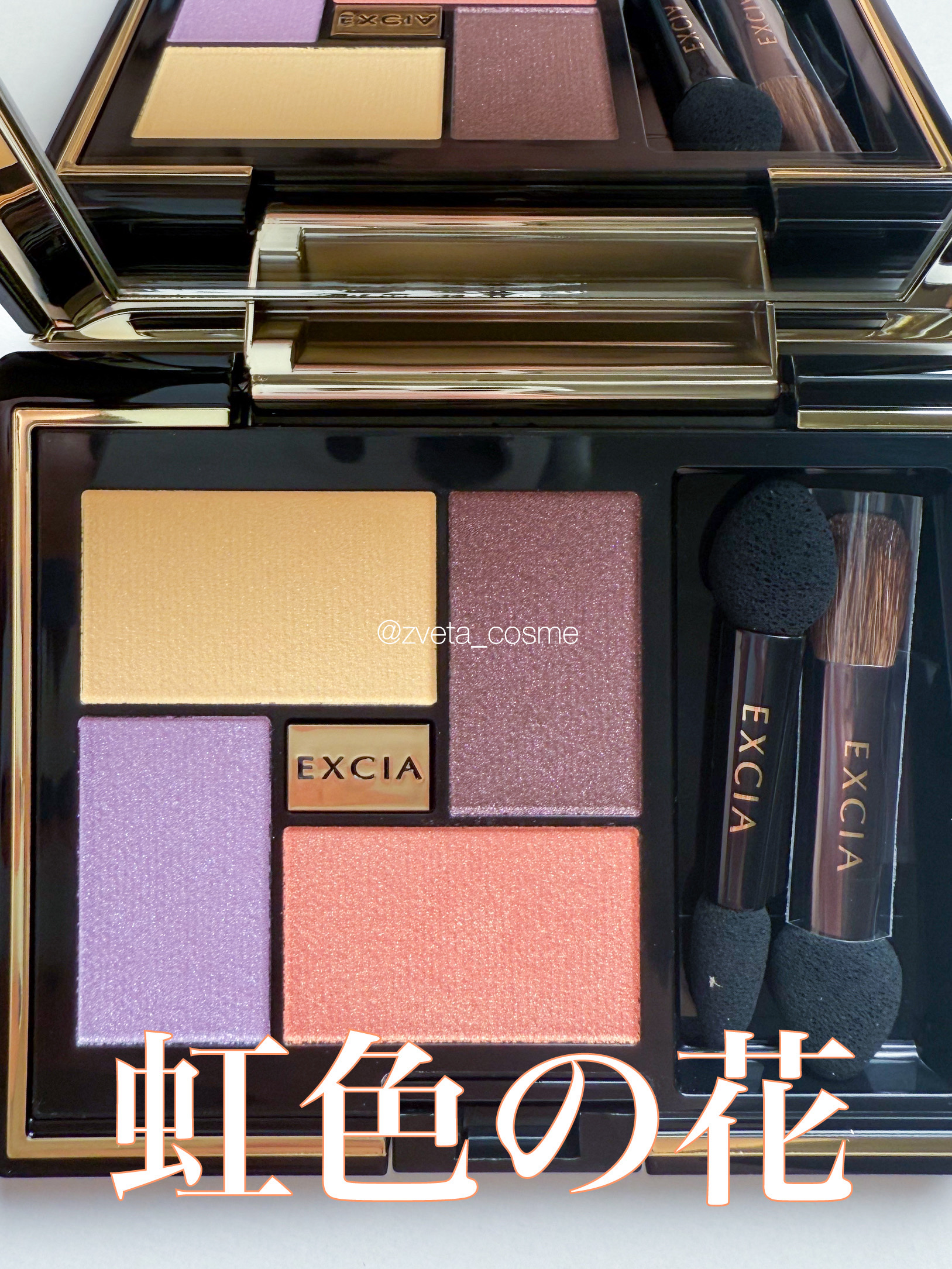 エクシア アイカラー ヴォロンテ 100 フルール イリゼ（限定色）/ALBION/アイシャドウパレットを使ったクチコミ（1枚目）