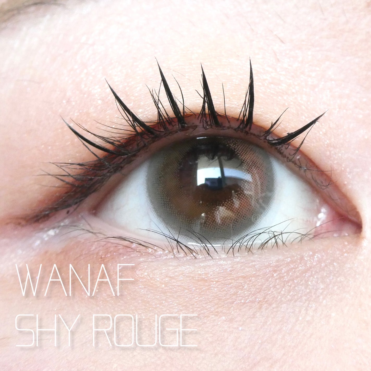 WANAF 1day/WANAF/ワンデー(1DAY)カラコンを使ったクチコミ(1枚目)