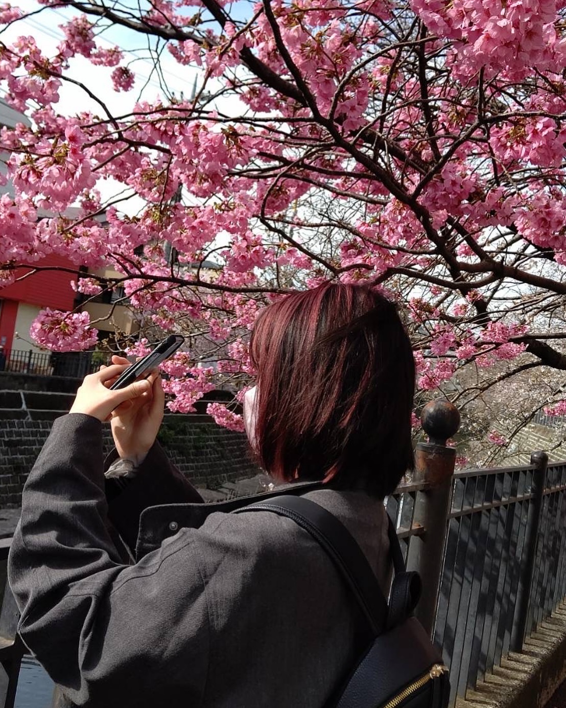 プルント リライト美容液シャンプー/トリートメント/Purunt./市販シャンプーを使ったクチコミ（1枚目）