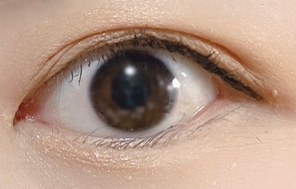 ドラマティックスタイリングアイズ/マキアージュ/アイシャドウパレットを使ったクチコミ(4枚目)