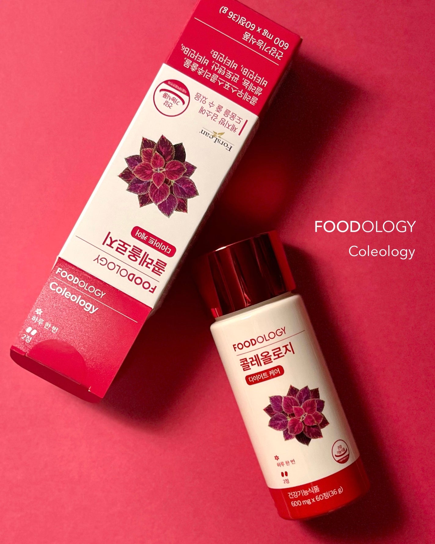 コレオロジーティー/FOODOLOGY/ドリンクを使ったクチコミ(6枚目)