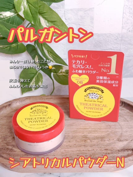 シアトリカルパウダーN/パルガントン/ルースパウダーを使ったクチコミ(1枚目)