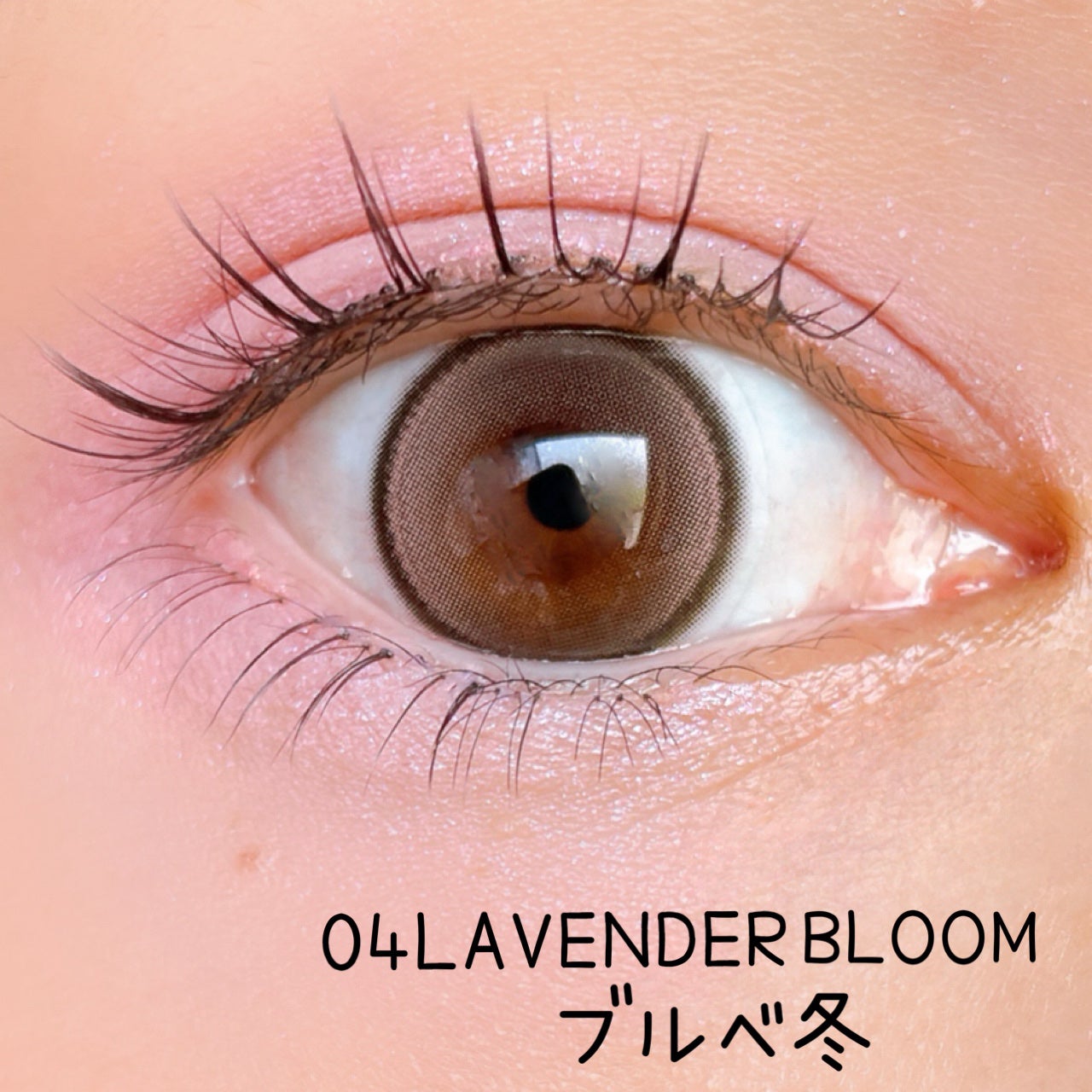 フローラアイパレット/AMUSE/アイシャドウを使ったクチコミ(5枚目)