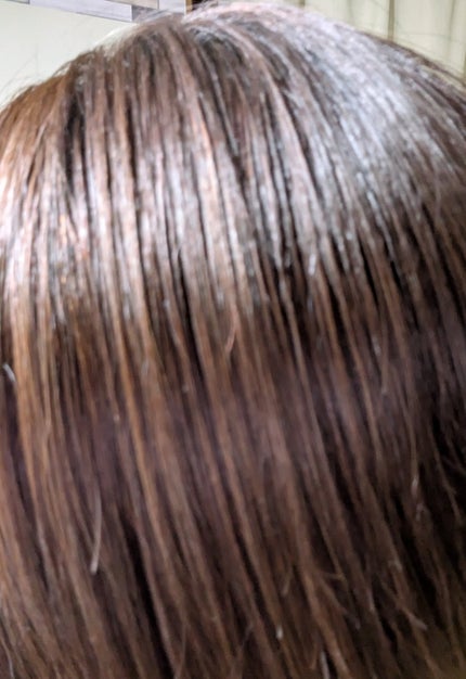 ハイダメージ メンテナンス シャンプー/トリートメント シャンプー詰替/matsukiyo CONCRED/市販シャンプーの画像