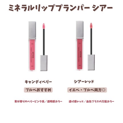 ミネラルクラッシィシャドー/エトヴォス/アイシャドウパレットを使ったクチコミ(4枚目)