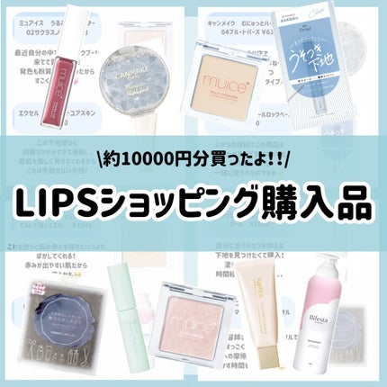 スポットメンテパウダー/muice/プレストパウダーを使ったクチコミ(1枚目)