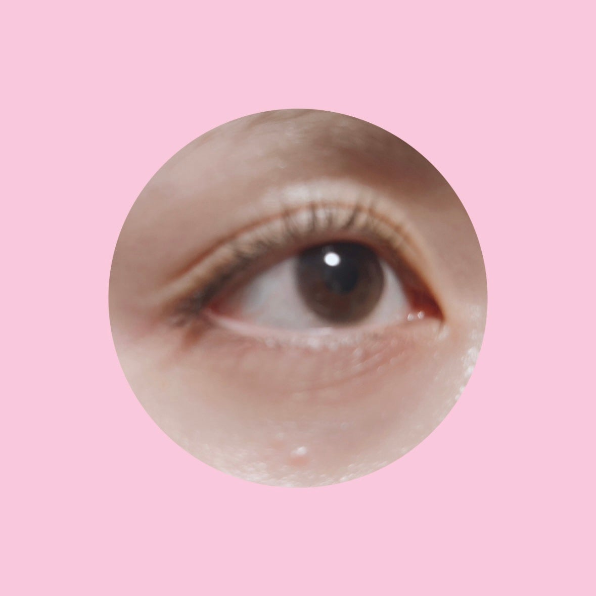 イージーアイラッシュリフトキット/COSNORI/その他キットセットを使ったクチコミ(2枚目)