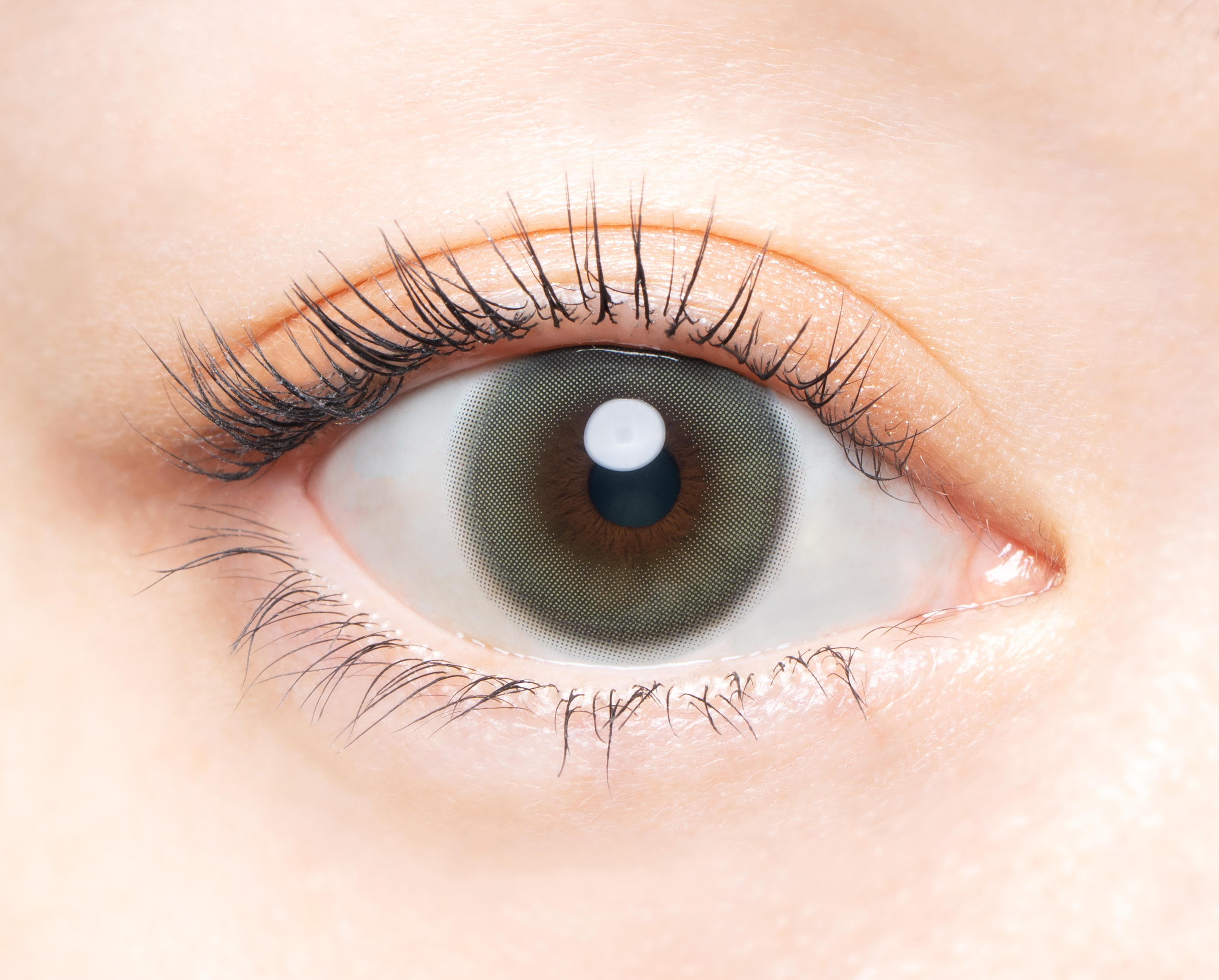 Angelcolor Bambi Series Vintage 1day ヴィンテージセージ