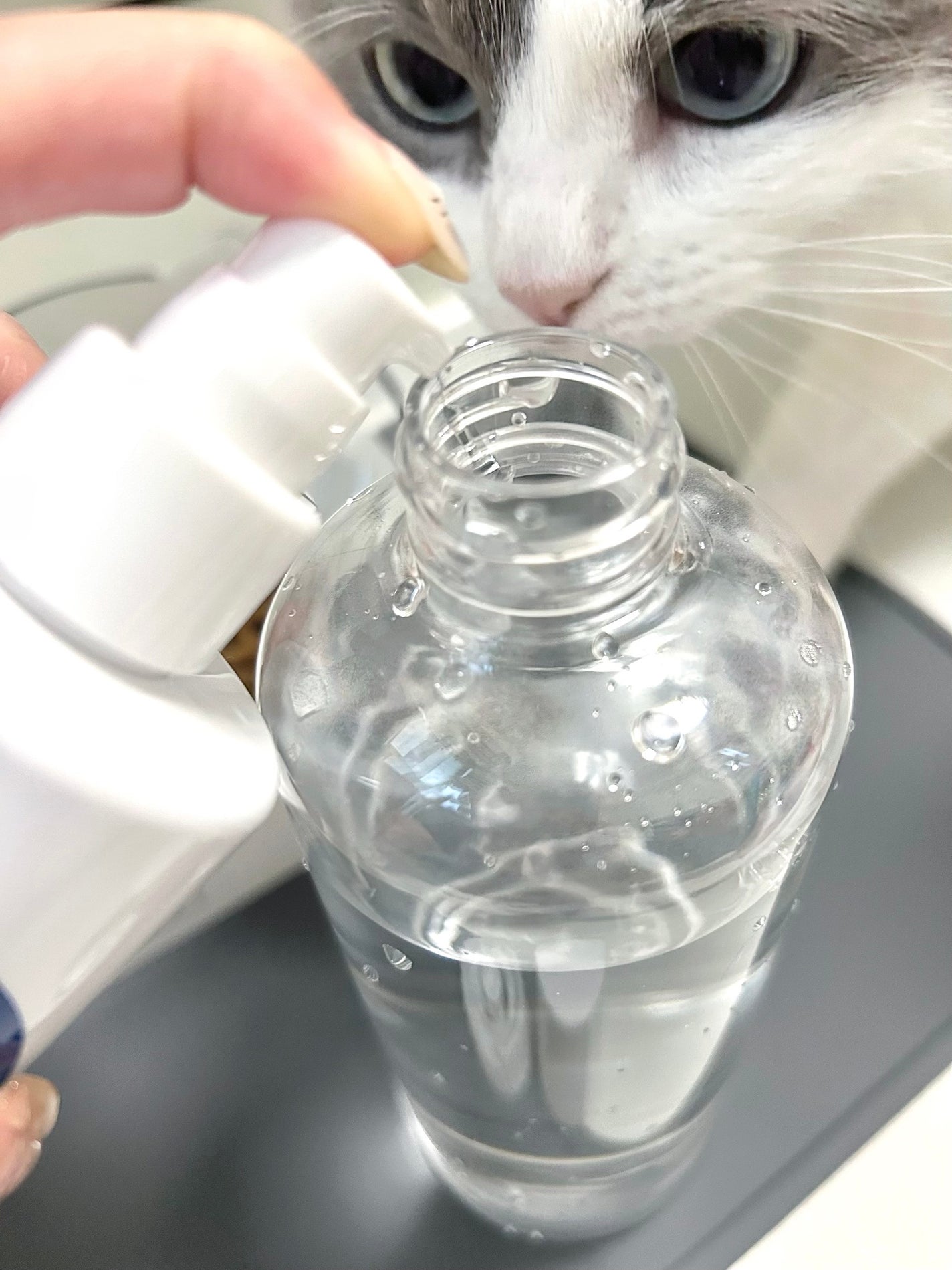 うなぎちゃんᙏ̤̫͚フォロバ1000 on LIPS 「愛するにゃんこの口を守りたい🚑🐈🐈⬛♡˒˒「PETLABマウ..」(2枚目)