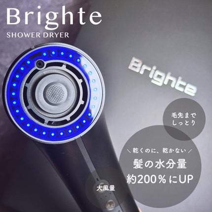 SHOWER DRYER/Brighte/ドライヤーを使ったクチコミ(1枚目)