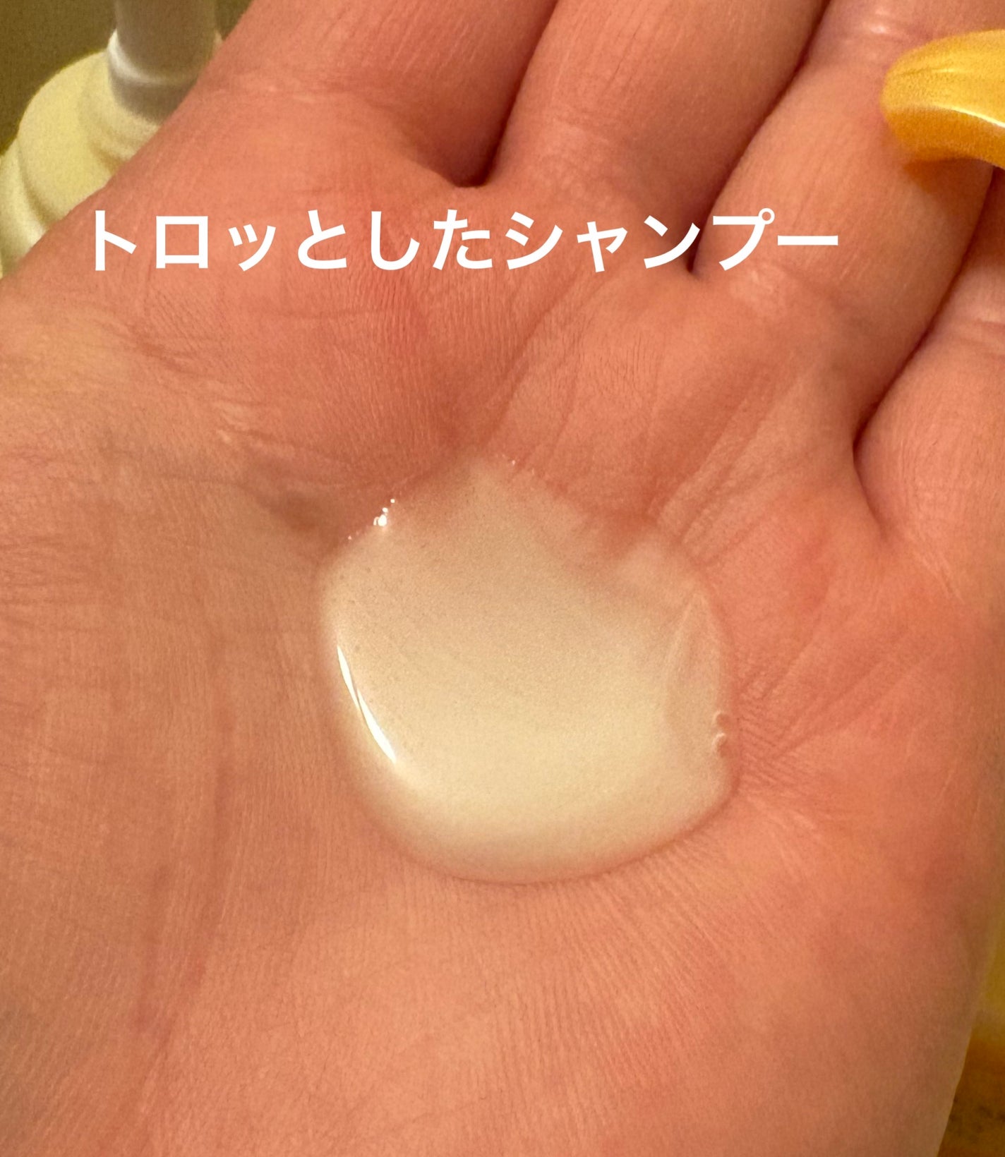 ãšãã»ã³ã·ã£ã«ãã¬ãã¢ã ããªã¢ã·ã£ã³ããŒã»ã³ã³ãã£ã·ã§ã㌠ã¹ããŒã¯ã«ã¢ã€ã¹ã/ãšãã»ã³ã·ã£ã«/åžè²©ã·ã£ã³ããŒã䜿ã£ãã¯ãã³ãïŒ3æç®ïŒ