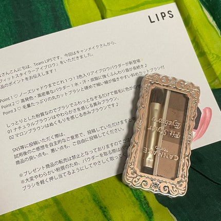 フィットスタイラーアイブロウ/キャンメイク/パウダーアイブロウを使ったクチコミ(1枚目)