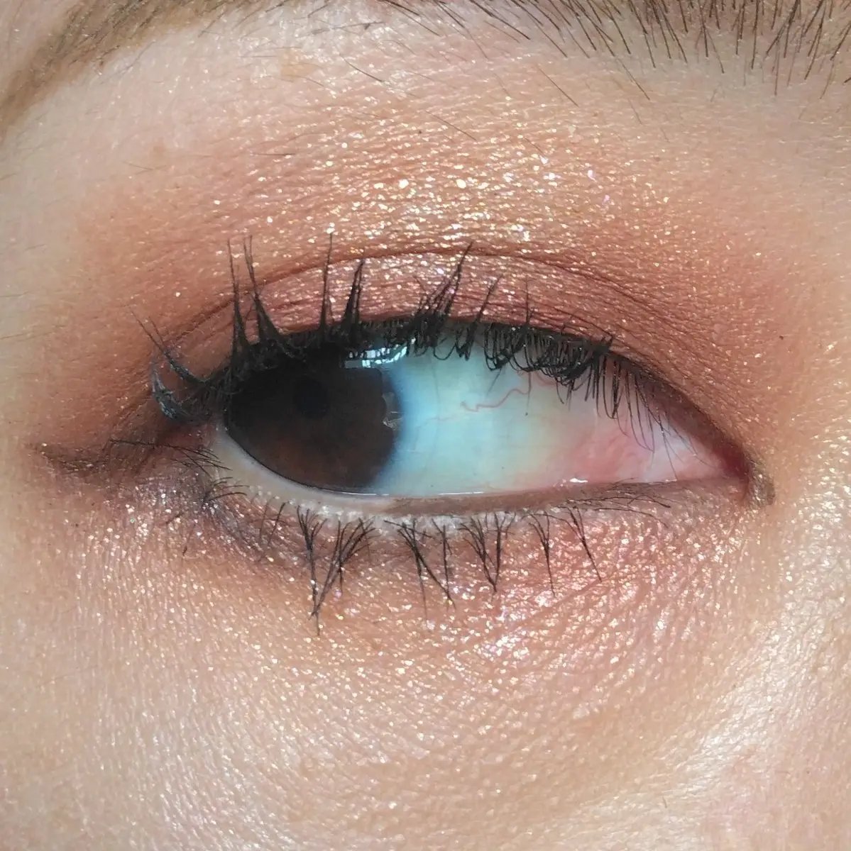 レブロン ダズル アイシャドウ クアッド/REVLON/アイシャドウパレットを使ったクチコミ（2枚目）