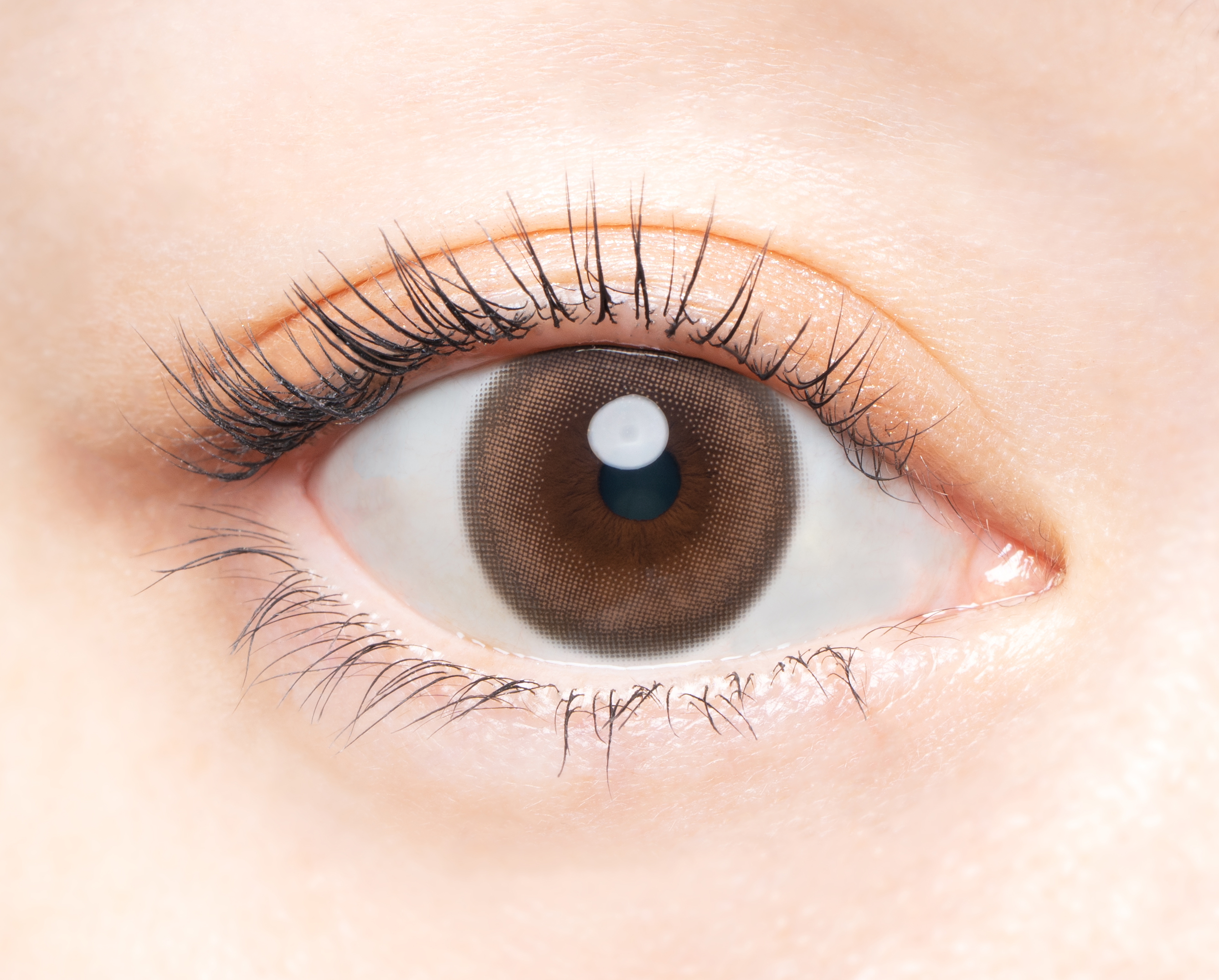 Angelcolor Bambi Series Vintage 1day ヴィンテージクラシック