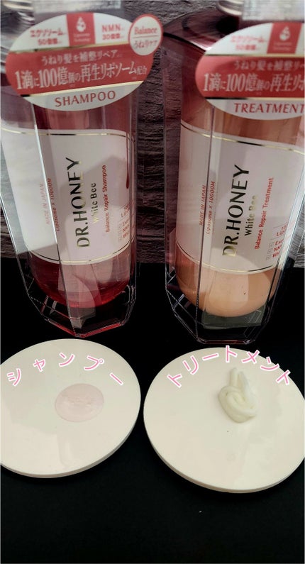 DRハニー ブロッサムティー モイスト リペア シャンプー/ヘアトリートメント ヘアトリートメント340g/DR.HONEY/シャンプー・コンディショナーの画像