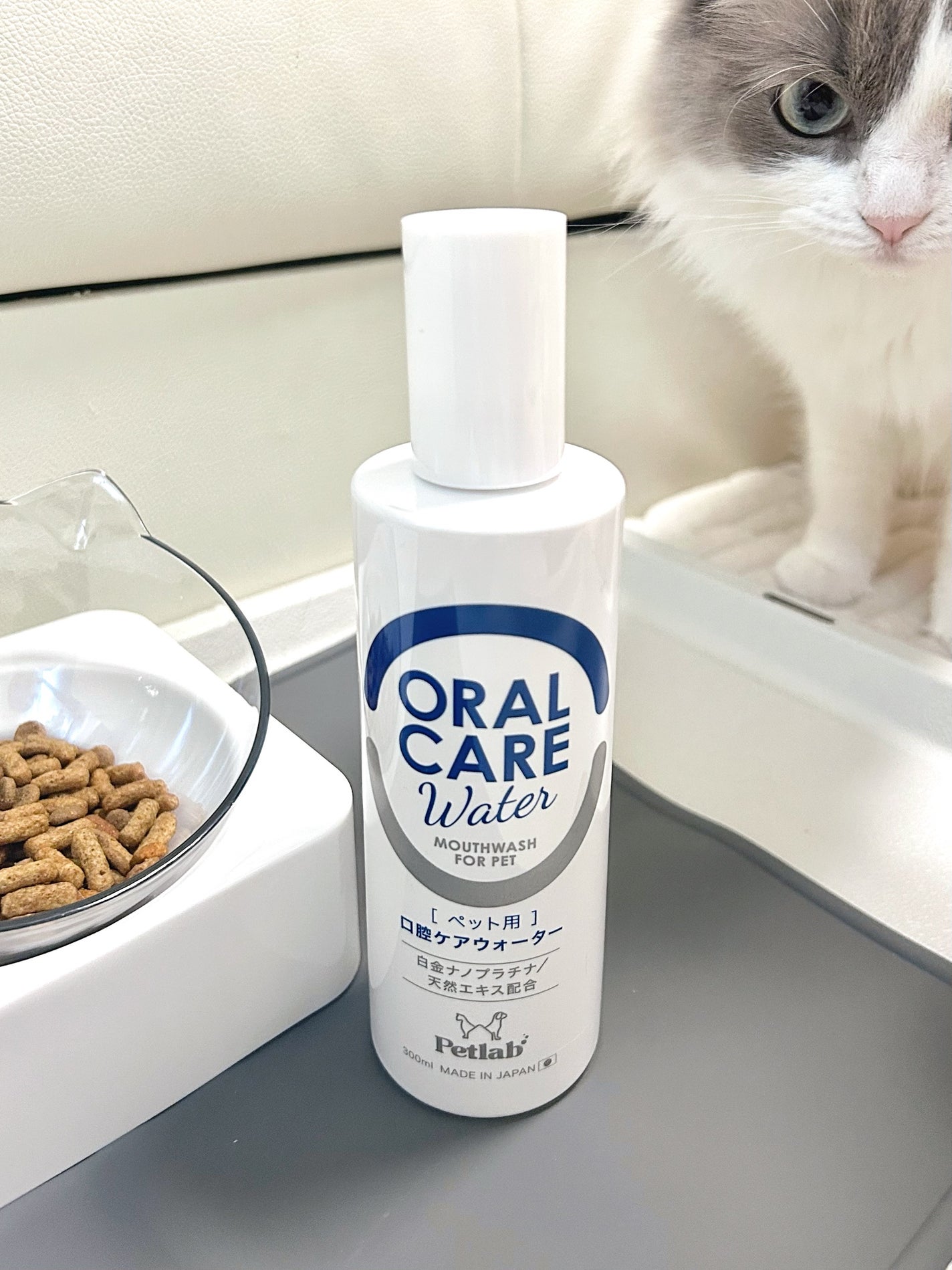 うなぎちゃんᙏ̤̫͚フォロバ1000 on LIPS 「愛するにゃんこの口を守りたい🚑🐈🐈⬛♡˒˒「PETLABマウ..」(1枚目)