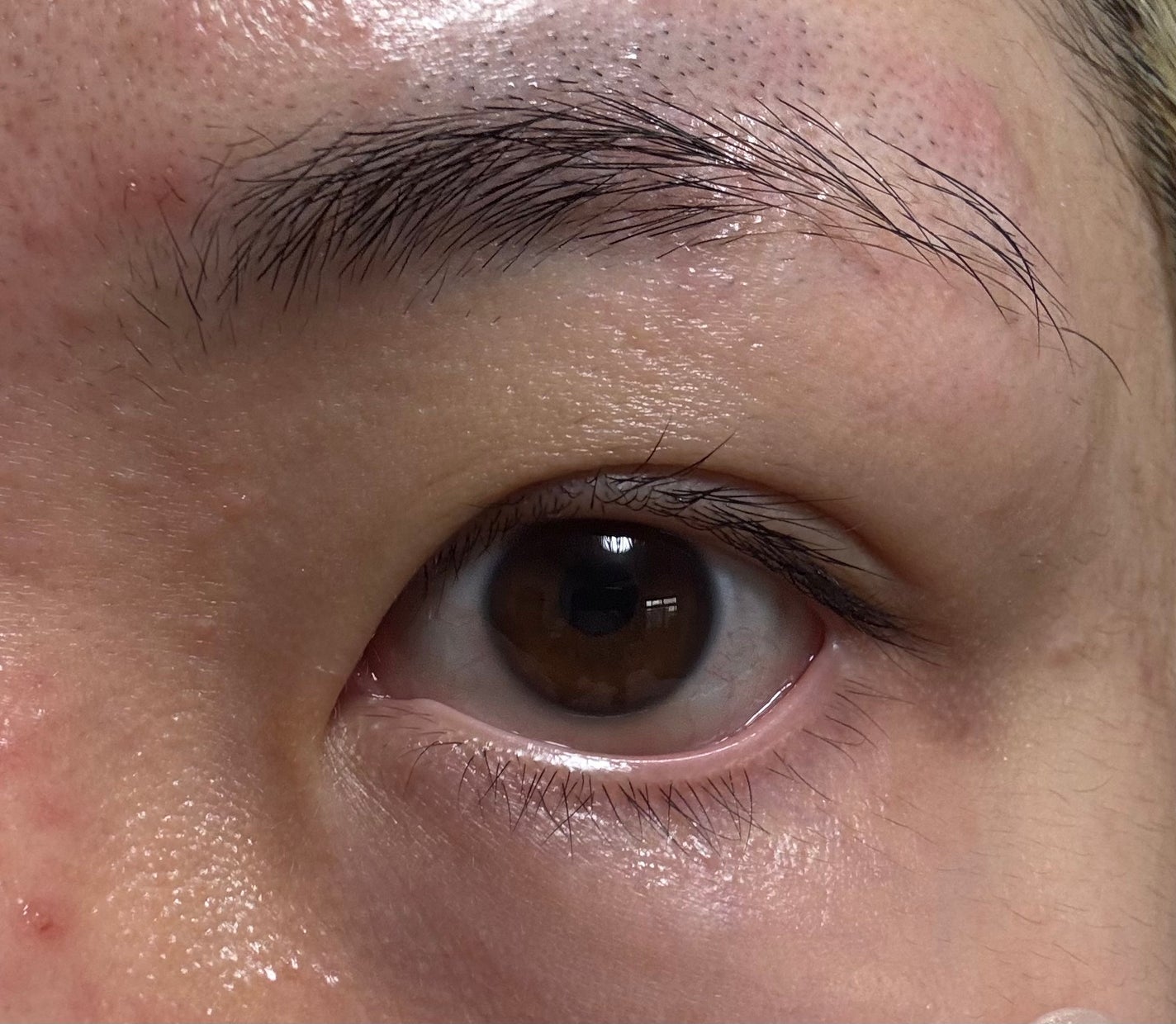 Blooming Eyelash Serum(透明)/KIERA/まつげ美容液を使ったクチコミ(9枚目)