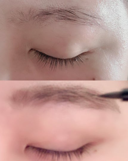 キープアイブロウ/ラッシュグランディール/眉ティントを使ったクチコミ(6枚目)