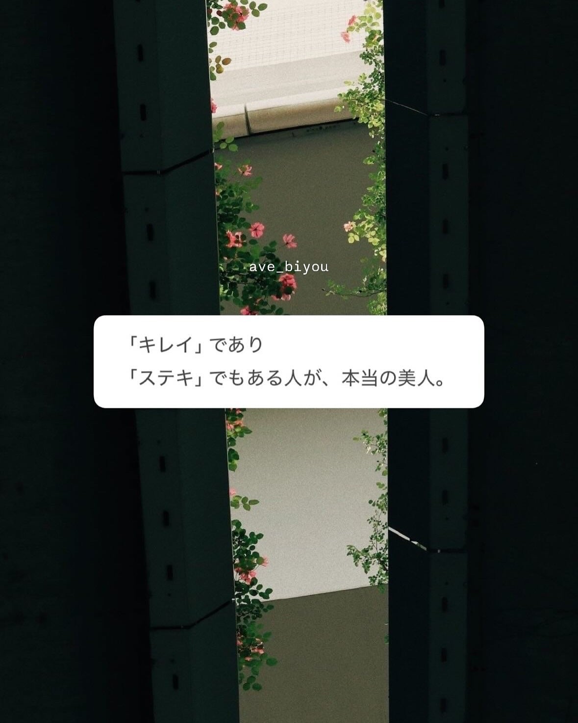 アビ|お金をかけない美容♡ on LIPS 「いつもストーリーで投稿している「美人言葉」を解説してみました♡..」(4枚目)