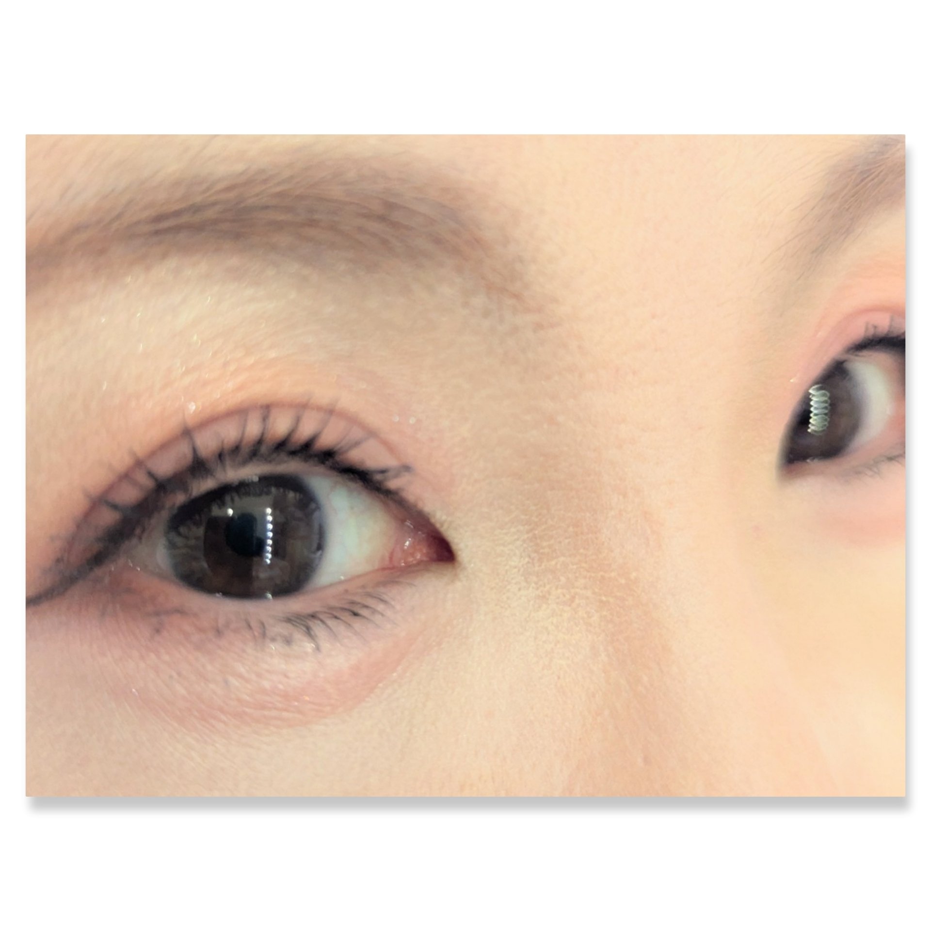 ベージュトーンアイシャドウ/CEZANNE/アイシャドウパレットを使ったクチコミ（2枚目）