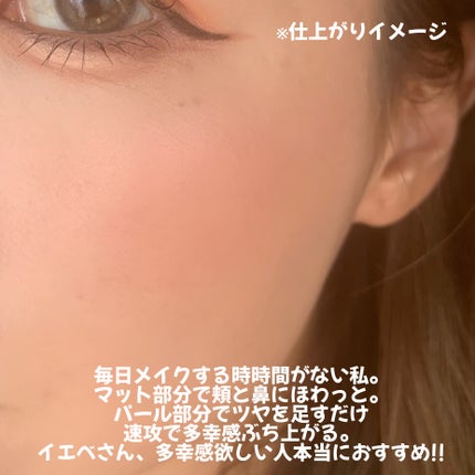 ブレンドカラーチーク/CEZANNE/チークを使ったクチコミ(5枚目)