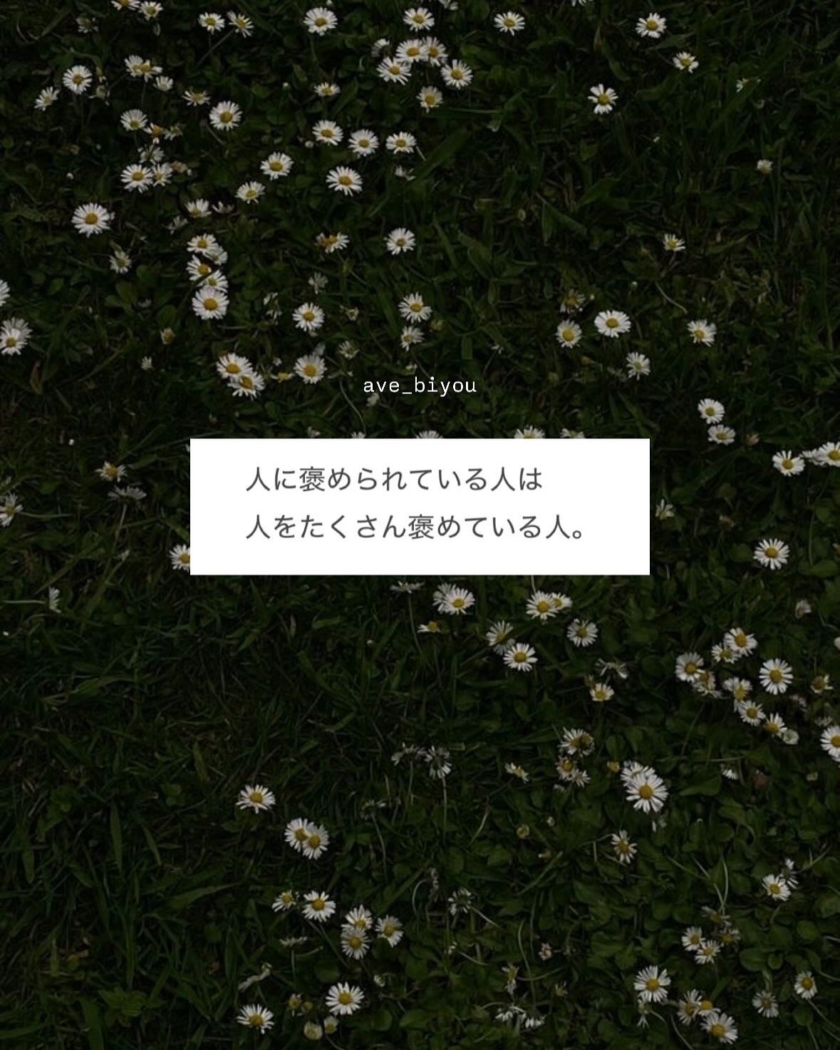 アビ|お金をかけない美容♡ on LIPS 「いつもストーリーで投稿している「美人言葉」を解説してみました♡..」(6枚目)