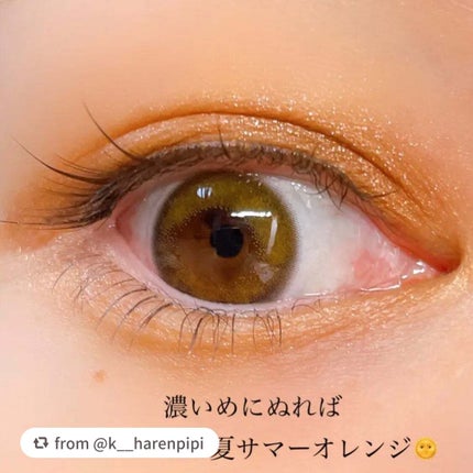 グラデーション アイシャドウ/ちふれ/アイシャドウパレットを使ったクチコミ(5枚目)