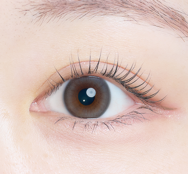 Kaica 1day 雪花グレー（Yukihana Gray）