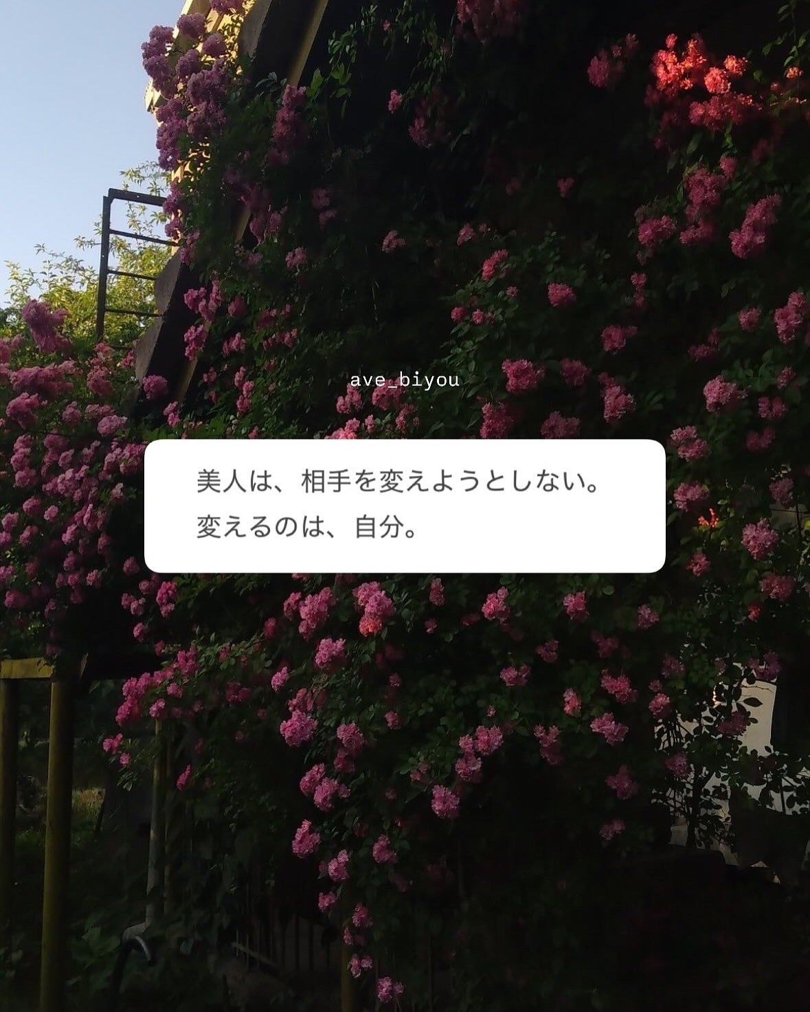 アビ|お金をかけない美容♡ on LIPS 「いつもストーリーで投稿している「美人言葉」を解説してみました♡..」(10枚目)