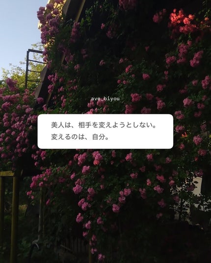 アビ|お金をかけない美容♡ on LIPS 「いつもストーリーで投稿している「美人言葉」を解説してみました♡..」(10枚目)