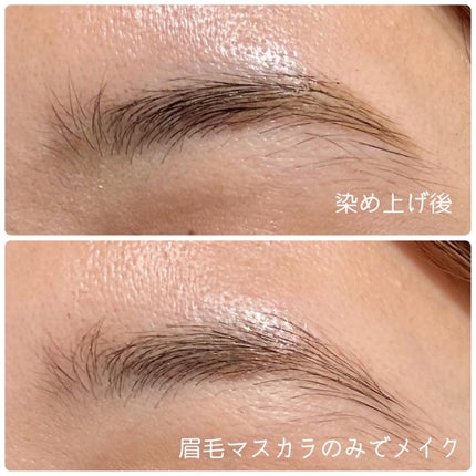 眉ティントADV/Fujiko/眉ティントを使ったクチコミ(6枚目)