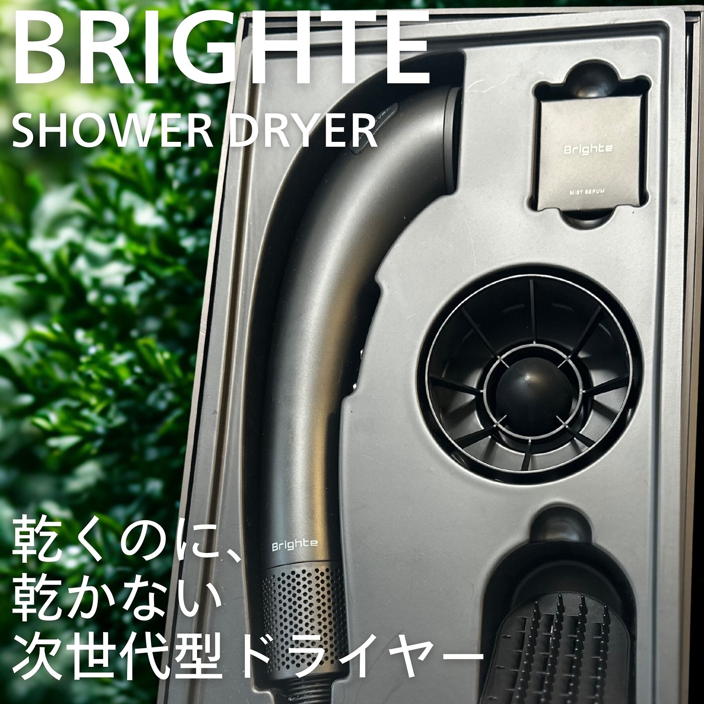 SHOWER DRYER/Brighte/ドライヤーを使ったクチコミ（1枚目）