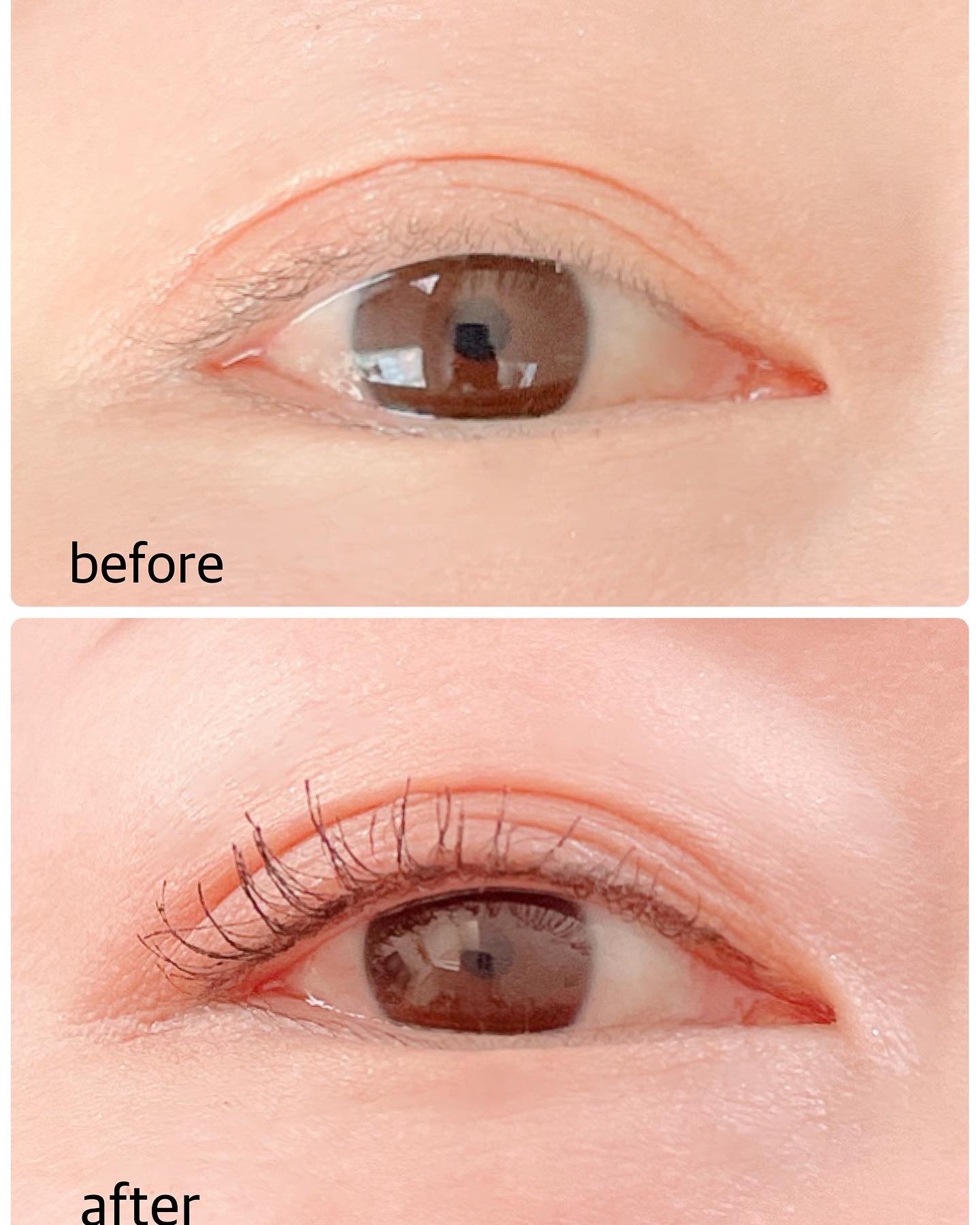 ウルトラ WP マスカラ(ロング)/FASIO/マスカラを使ったクチコミ（3枚目）