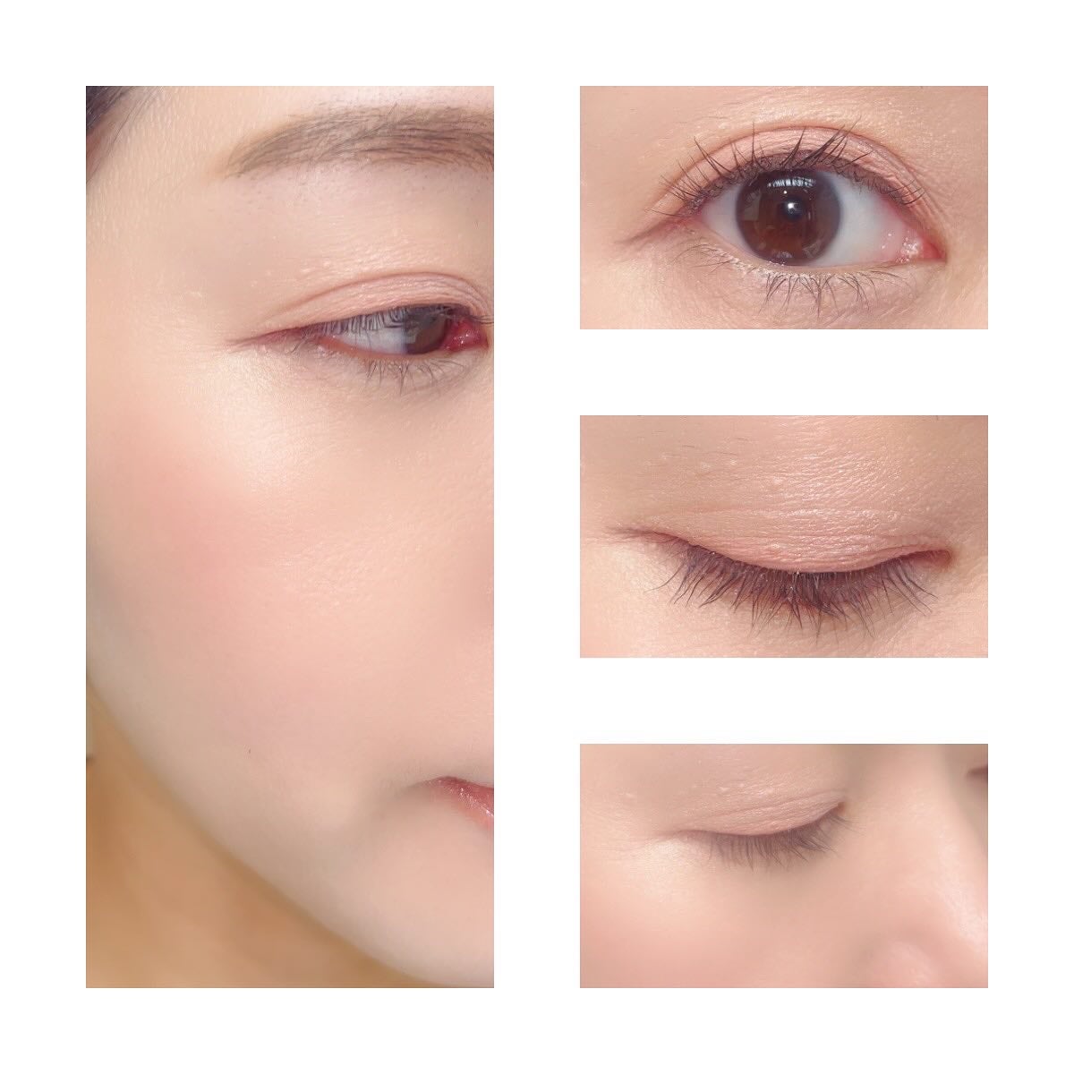 フローラアイパレット/AMUSE/アイシャドウを使ったクチコミ(4枚目)