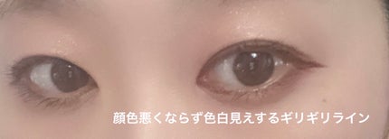 シルキースフレアイズ(マットタイプ)/キャンメイク/アイシャドウパレットを使ったクチコミ(4枚目)