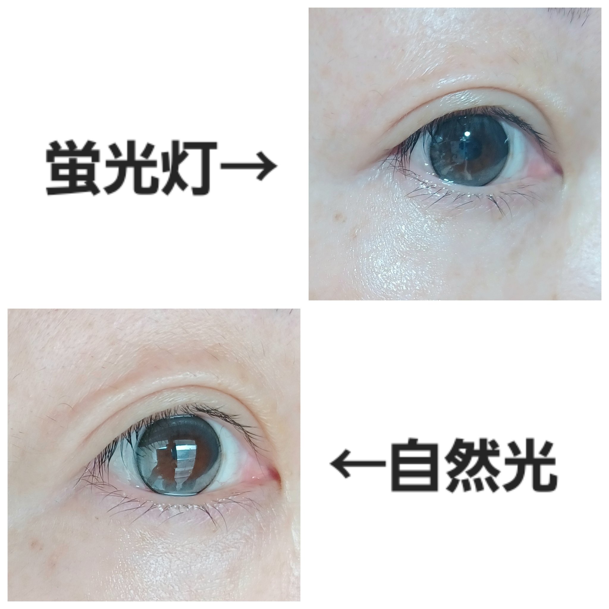 MOLAK 1month ドーリッシュグレー/MOLAK/１ヶ月（１MONTH）カラコンを使ったクチコミ（2枚目）