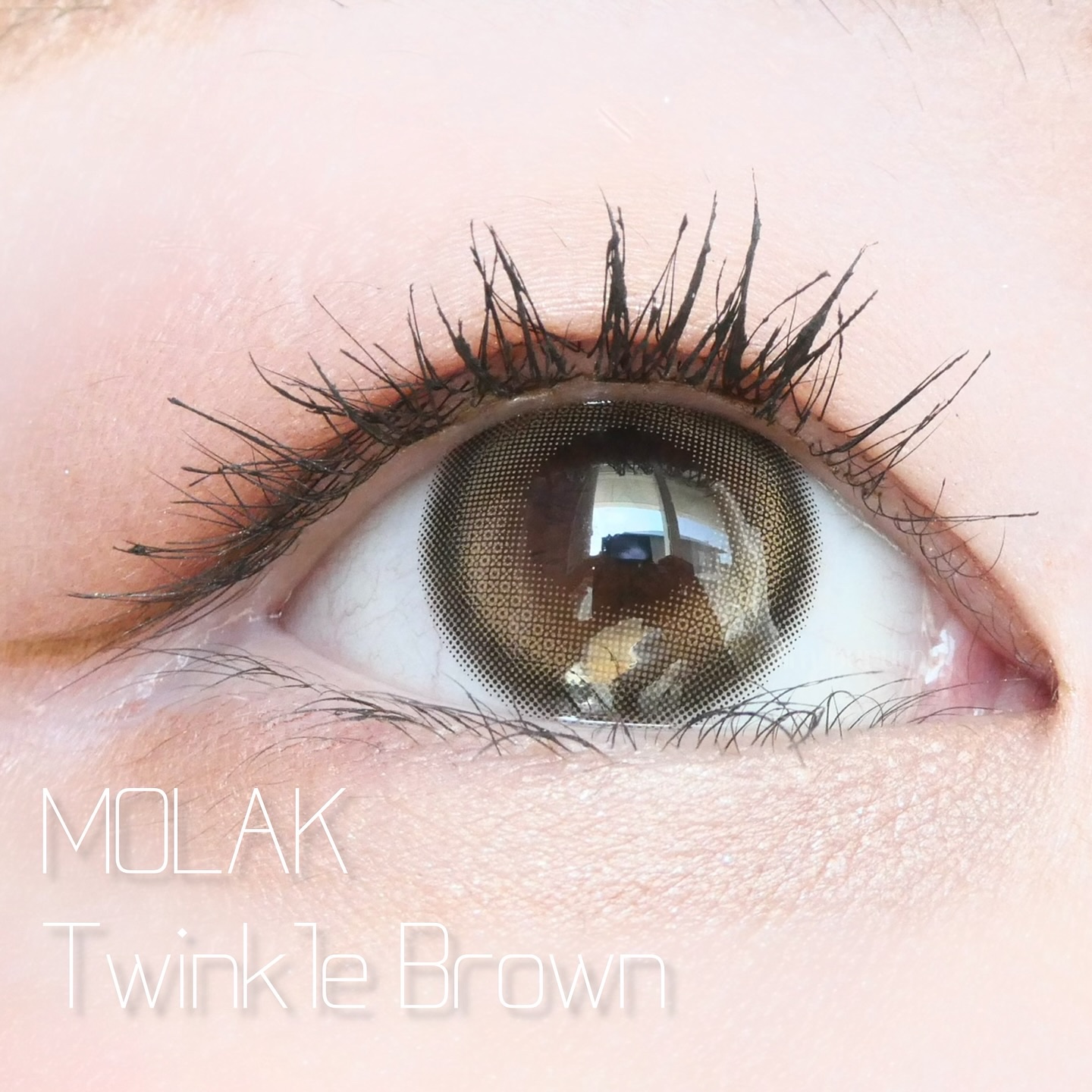 MOLAK 1day トゥインクルブラウン/MOLAK/ワンデー（１DAY）カラコンを使ったクチコミ（1枚目）