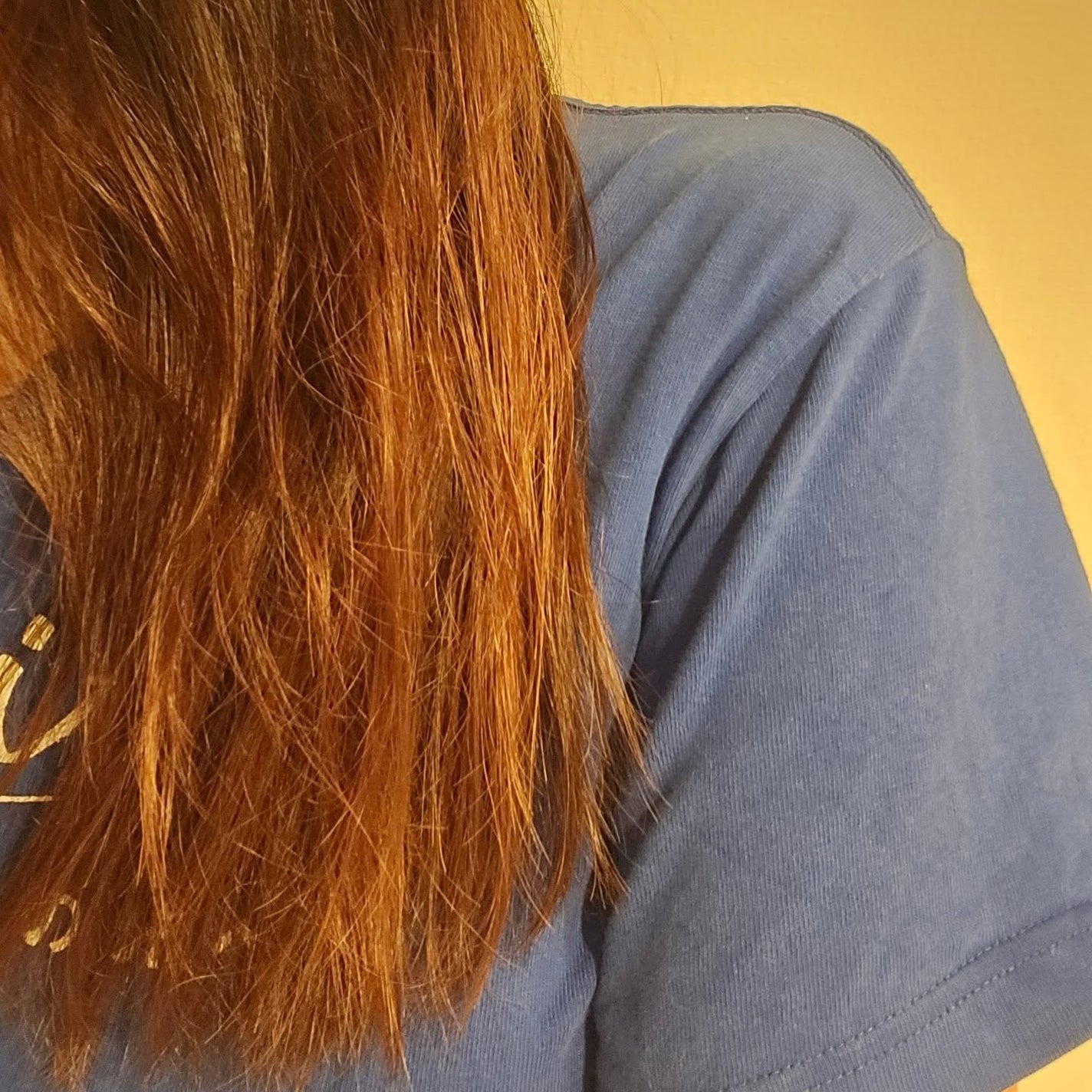 ãã¢ãŒãªã€ã«ããã¥ãŒããªã«ã©ãŒã/ellips/ãã¢ãªã€ã«ã䜿ã£ãã¯ãã³ãïŒ4æç®ïŒ