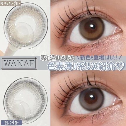 WANAF 1day セレングロー(SELENE GLOW)/WANAF/ワンデー(1DAY)カラコンを使ったクチコミ(1枚目)