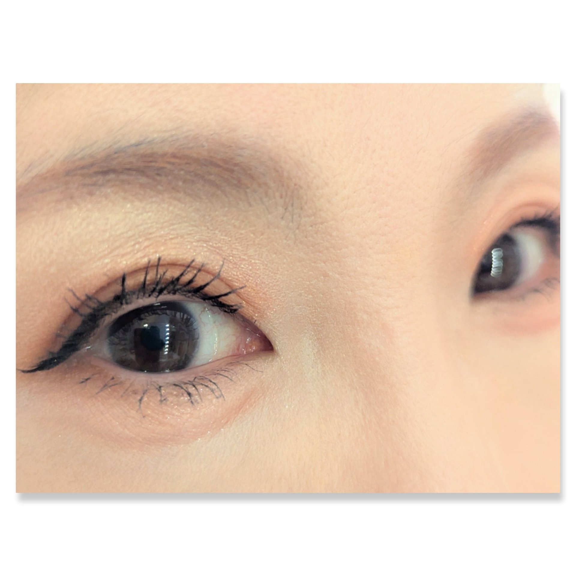 パノラマデザイン アイパレット/Visée/アイシャドウパレットを使ったクチコミ（2枚目）