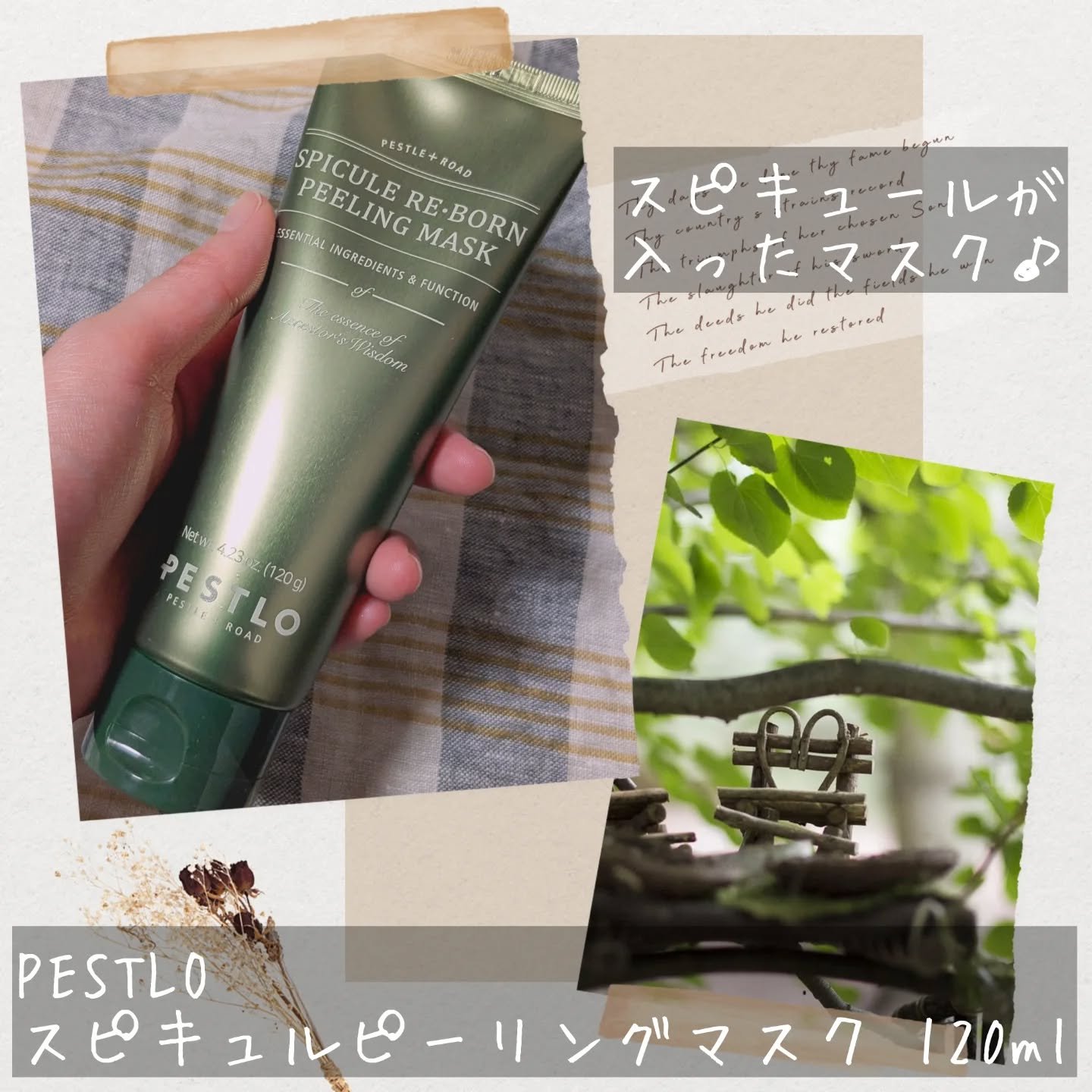 スピキュールピーリングマスク/PESTLO/ピーリングを使ったクチコミ（2枚目）