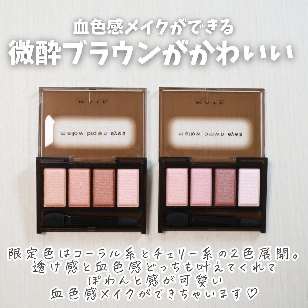 ケイト メロウブラウンアイズ/KATE/アイシャドウパレットを使ったクチコミ（3枚目）