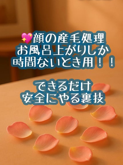 bi-hada ompa L ホルダー替刃2個付/貝印/シェーバーを使ったクチコミ(1枚目)