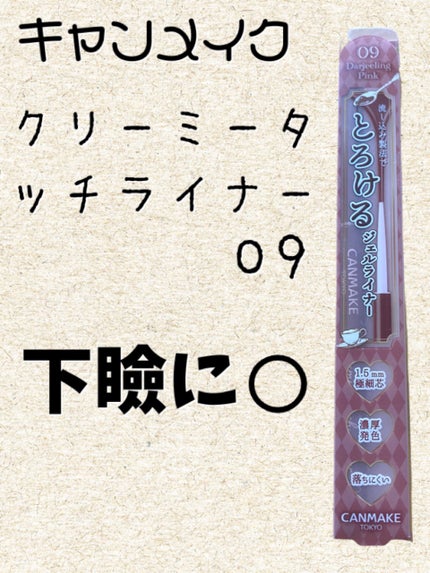 クリーミータッチライナー/キャンメイク/ジェルアイライナーを使ったクチコミ(1枚目)