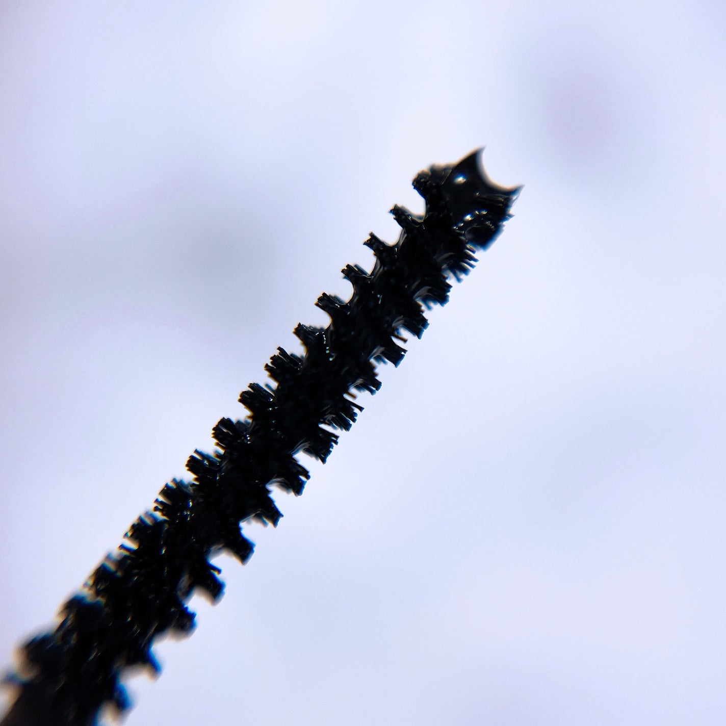 カールアメイジング マスカラ/Elégance/マスカラを使ったクチコミ(9枚目)